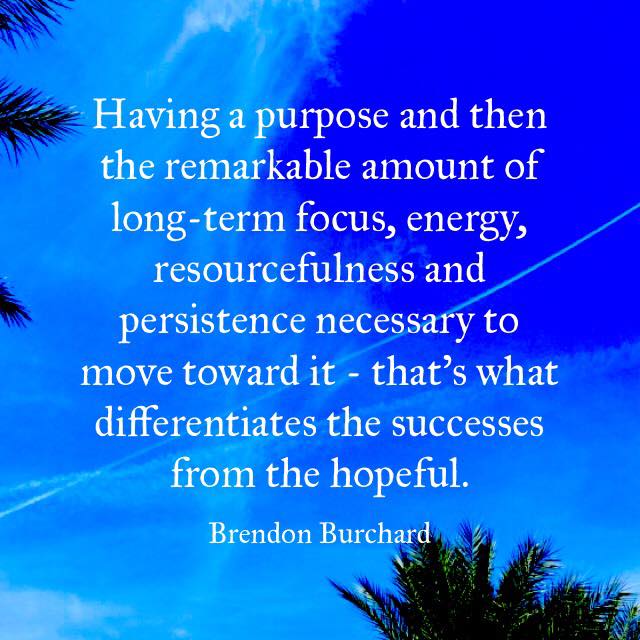 Having a purpose and then the remarkable amount of long-term focus, energy, resourcefulness and persistence necessary to move toward it - that's what differentiates the successes from the hopeful., Brendon Burchard, Motivation Manifesto